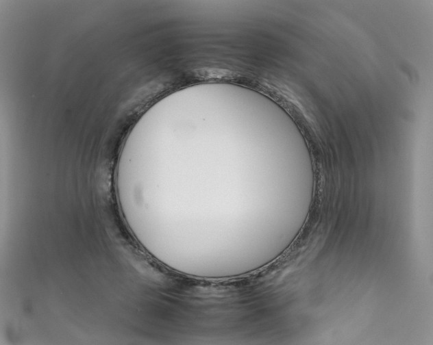 X0000111370545200907101019