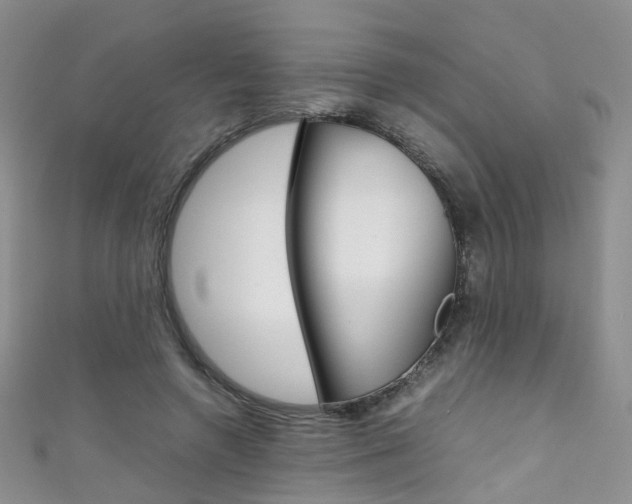 X0000111370546200907101019