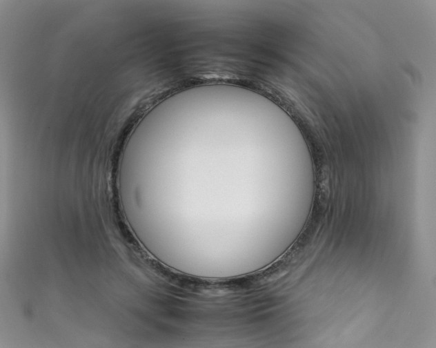 X0000111370547200907101019