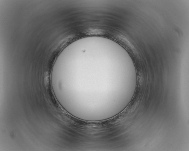 X0000111370549200907101019
