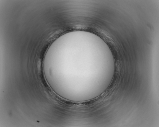 X0000111370550200907101019