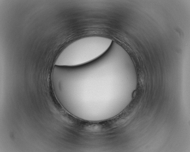 X0000111370551200907101019