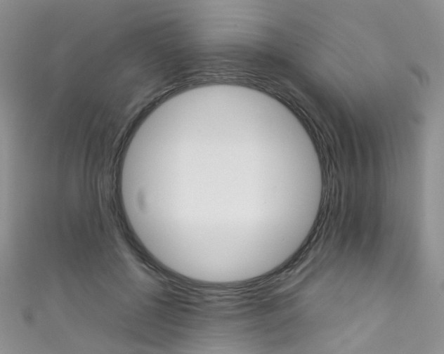 X0000111370552200907101019