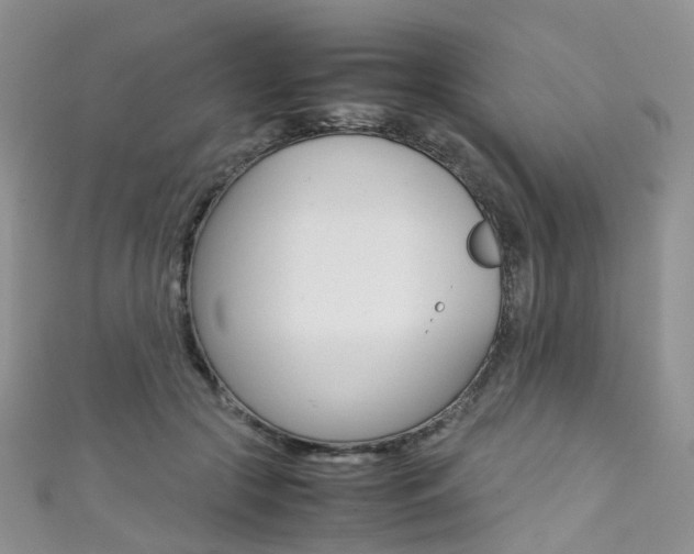 X0000111370553200907101019