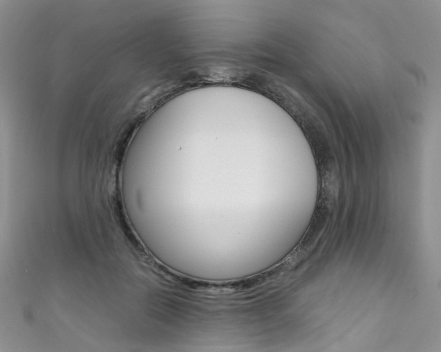 X0000111370554200907101019