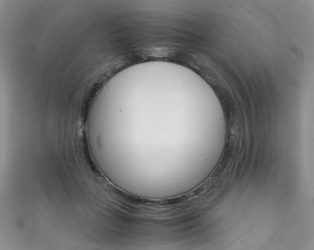 X0000111370555200907101019