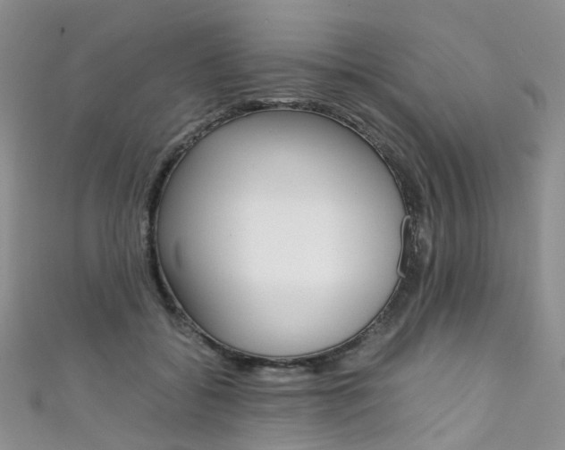 X0000111370556200907101019