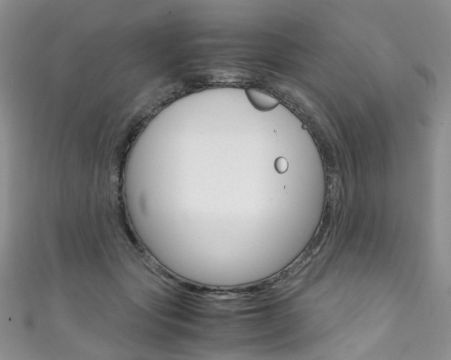 X0000111370557200907101019
