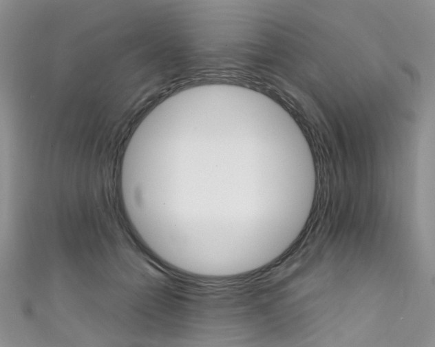 X0000111370558200907101019