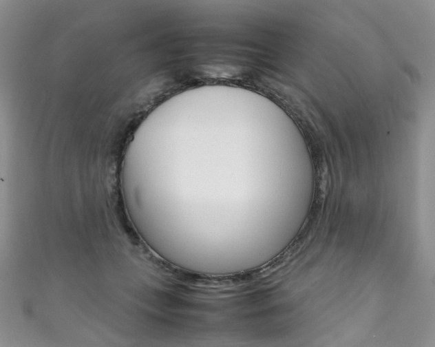 X0000111370559200907101019