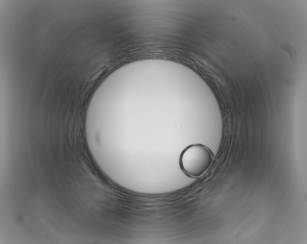 X0000111370560200907101019
