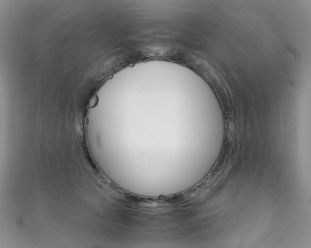 X0000111370561200907101019