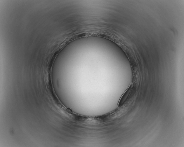 X0000111370562200907101019
