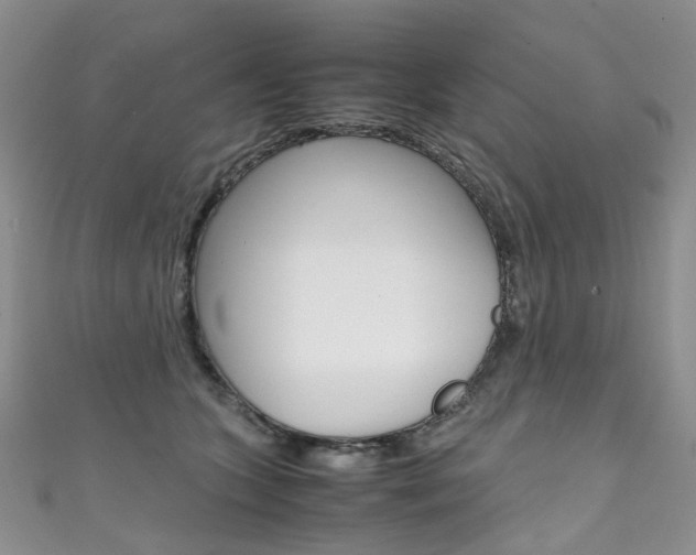 X0000111370563200907101019