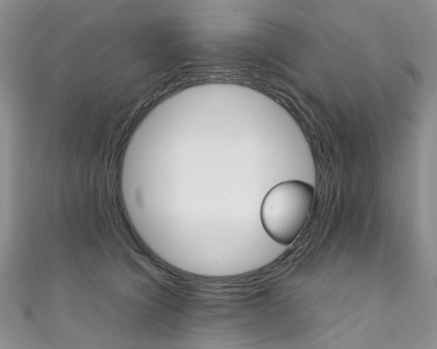 X0000111370564200907101019