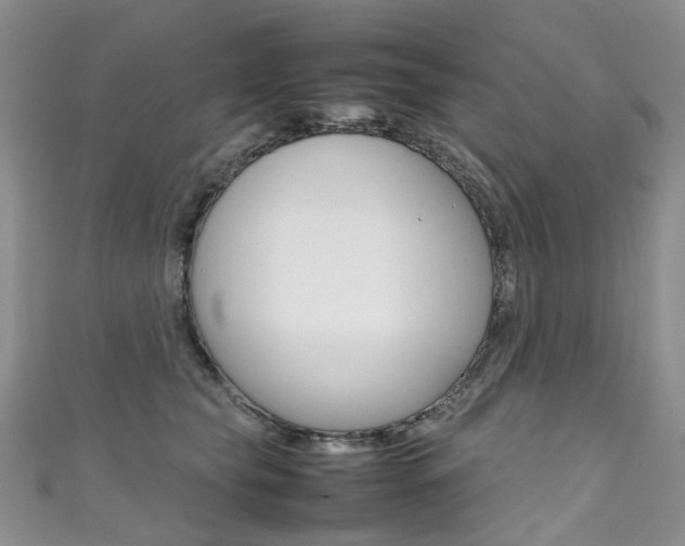 X0000111370565200907101019