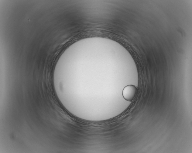 X0000111370566200907101019