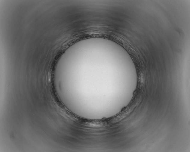 X0000111370567200907101019