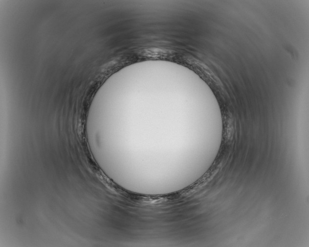 X0000111370569200907101019