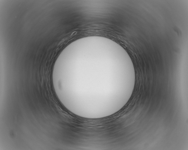 X0000111370570200907101019
