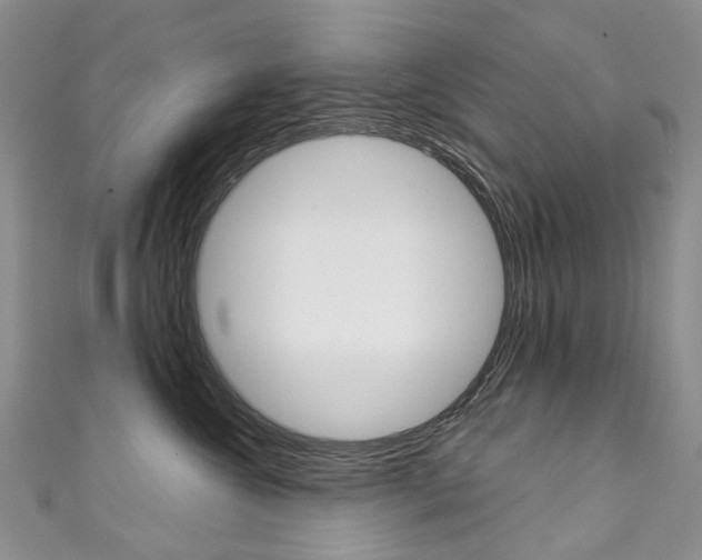 X0000111370572200907101019