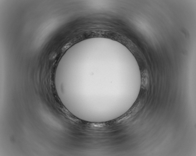 X0000111370573200907101019