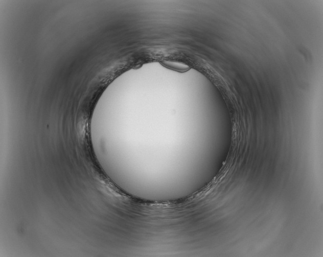 X0000111370574200907101019