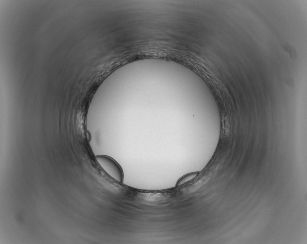 X0000111370575200907101019