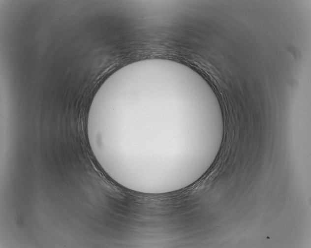 X0000111370576200907101019