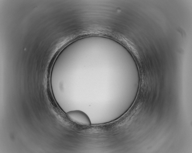 X0000111370578200907101019