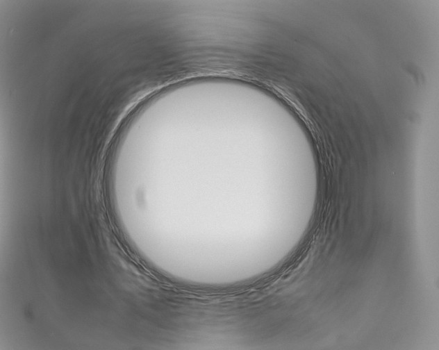 X0000111370579200907101019