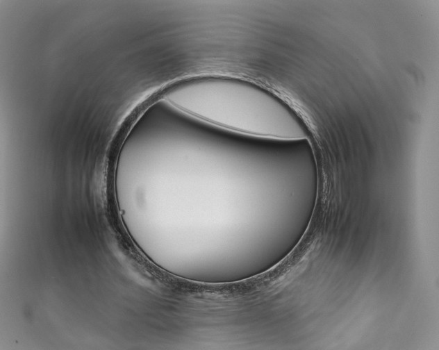 X0000111370580200907101019