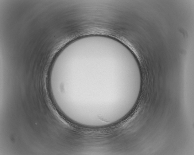 X0000111370581200907101019