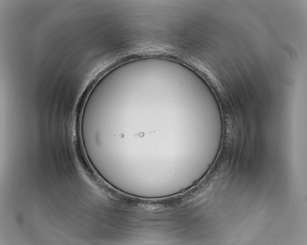 X0000111370582200907101019