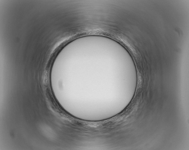 X0000111370583200907101019