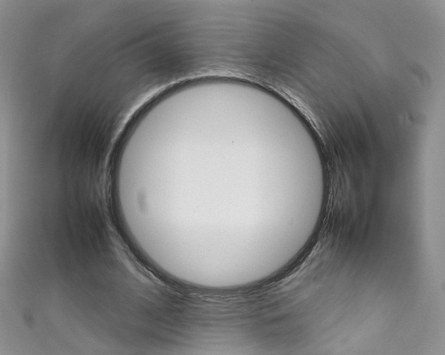 X0000111370584200907101019