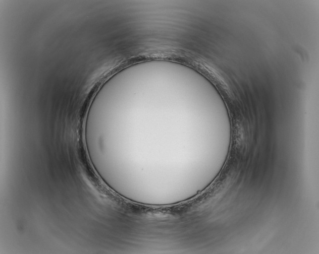 X0000111370586200907101019