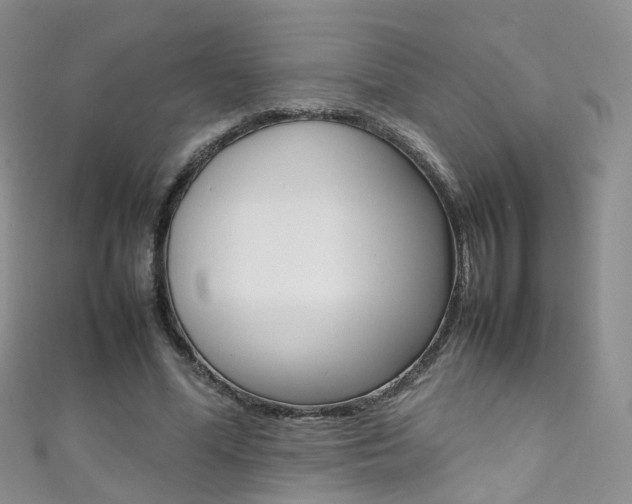 X0000111370588200907101019