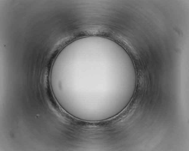 X0000111370590200907101019