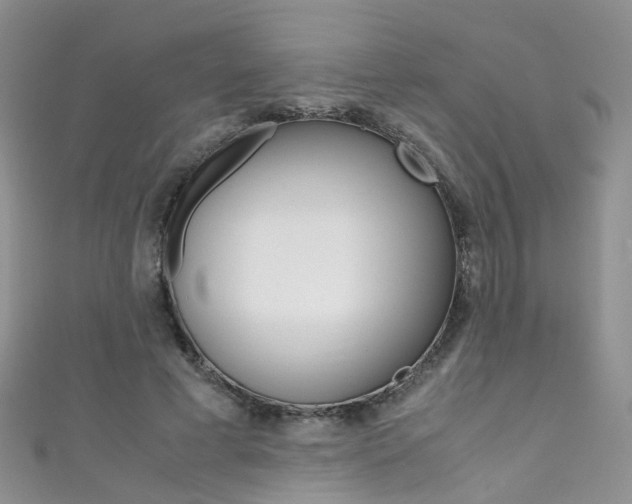 X0000111370593200907101019