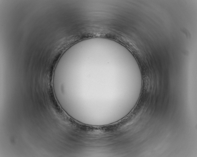 X0000111370594200907101018