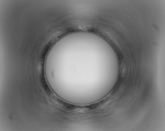 X0000111370595200907101018