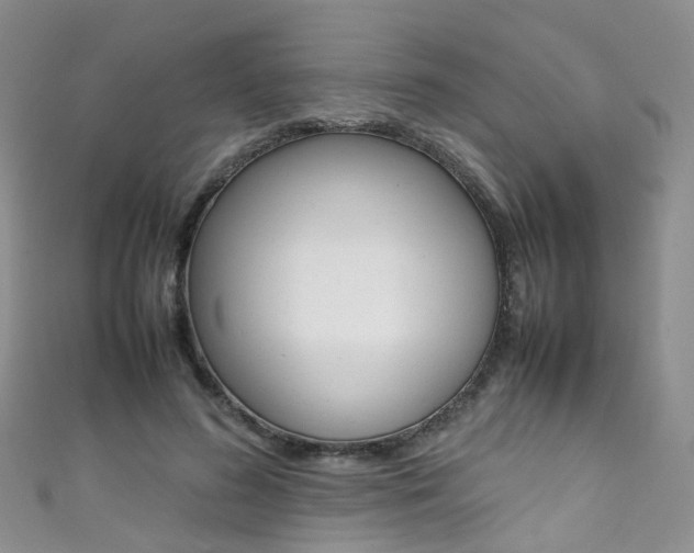 X0000111370596200907101018