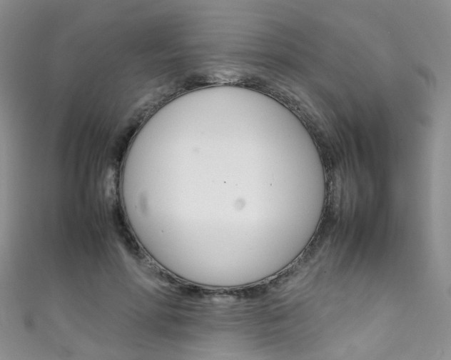 X0000111370598200907101018