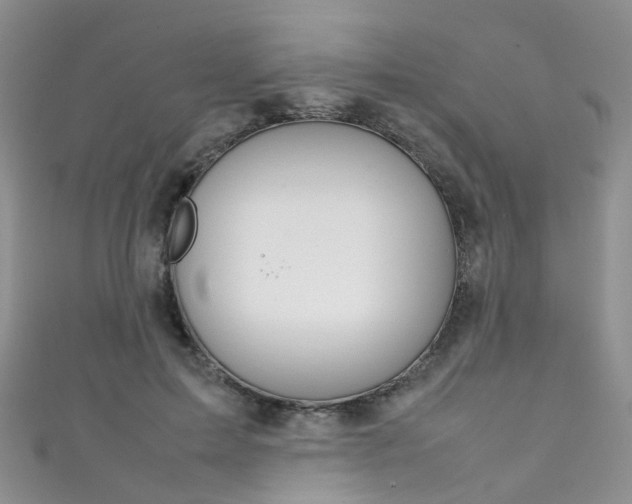 X0000111370599200907101018