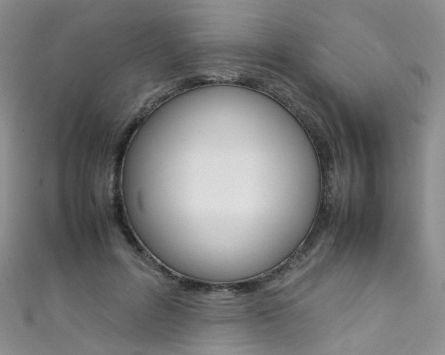 X0000111370600200907101018