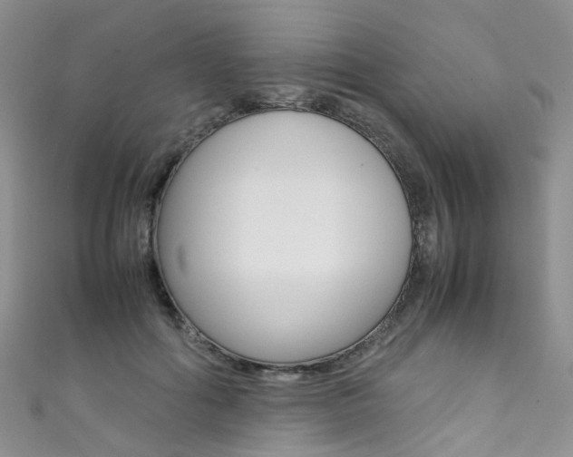 X0000111370602200907101018