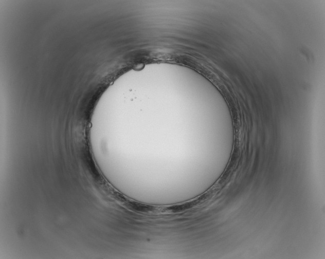 X0000111370603200907101018