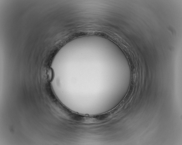 X0000111370605200907101018