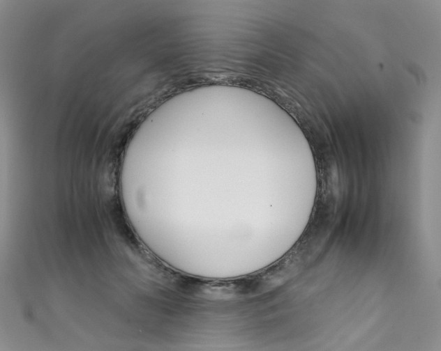 X0000111370606200907101018